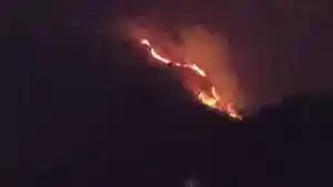 gunung-ungaran-terbakar.jpg