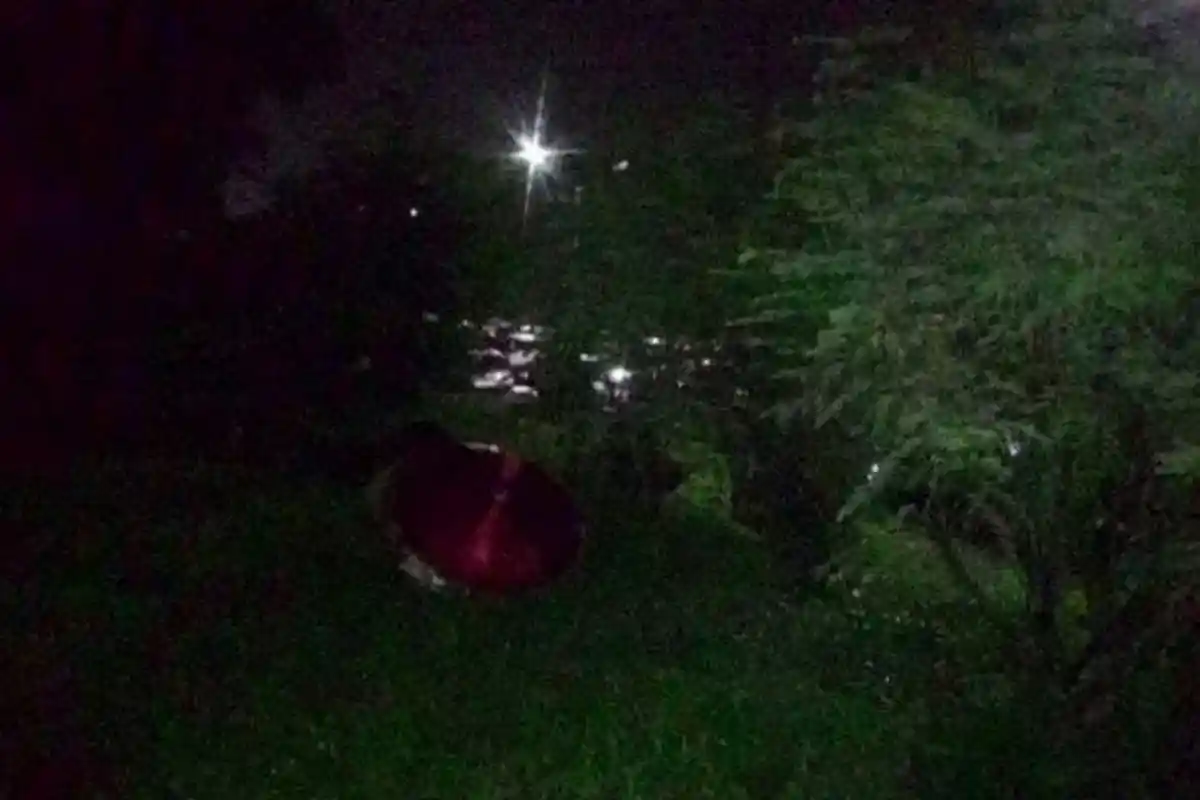 Kepergok Bercinta di Semak Belukar Pagi-pagi Buta, Dua Sejoli Ini Lari Tanpa Busana