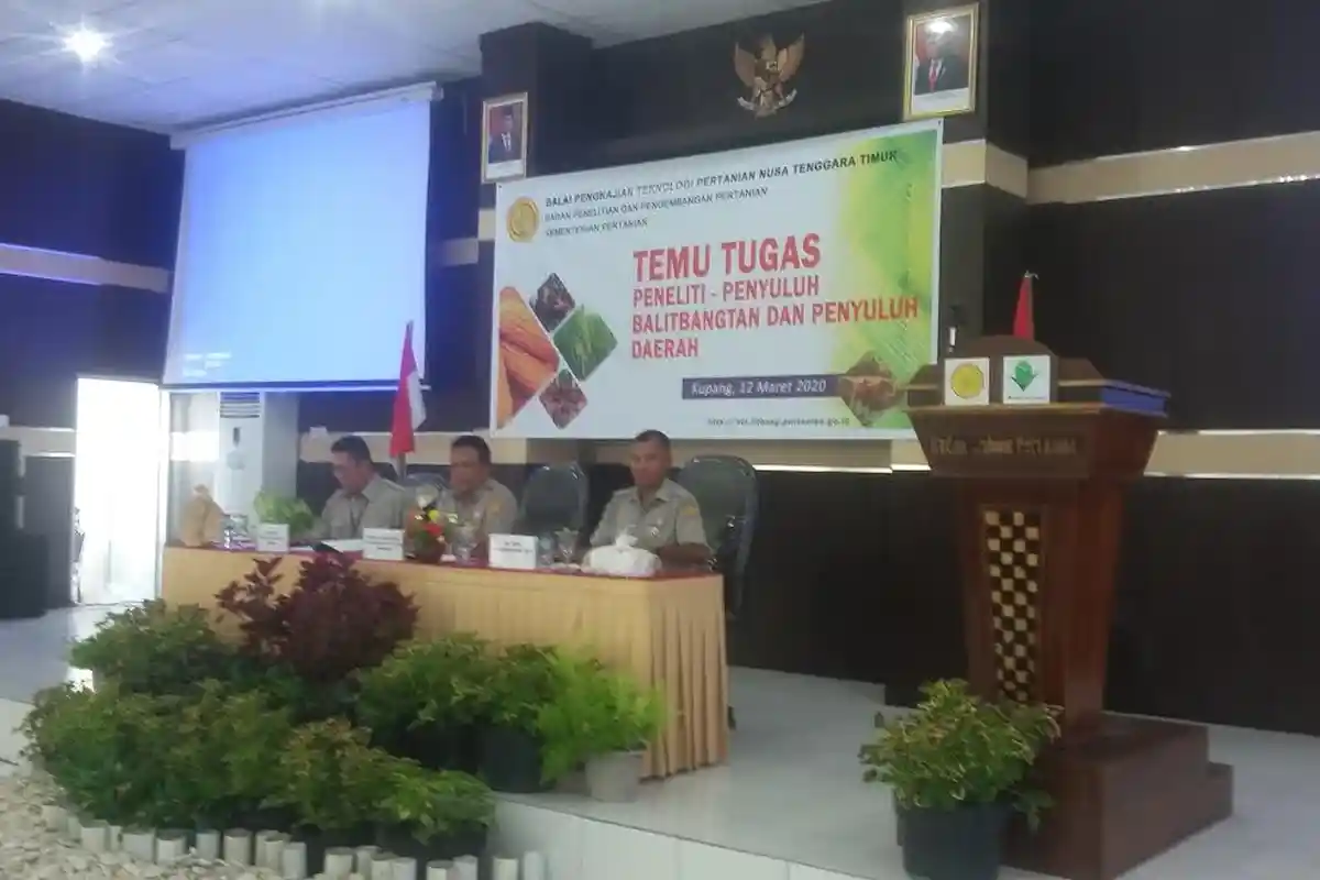 BPTP NTT Fasilitasi Temu Tugas Peneliti - Penyuluh Balitbangtan dan Penyuluh Daerah