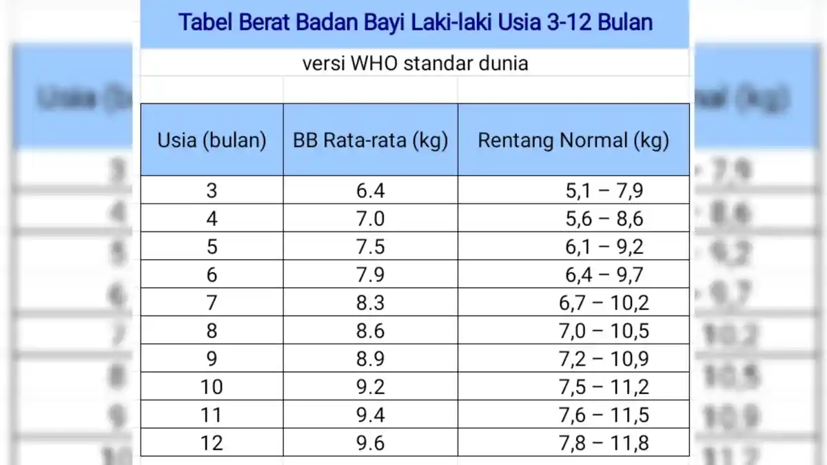 Cek Tabel Berat Badan Bayi 3 -12 Bulan Versi WHO