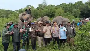 Menhut-Raja-Jajuli-foto-dengan-gajah-way-kambas.jpg