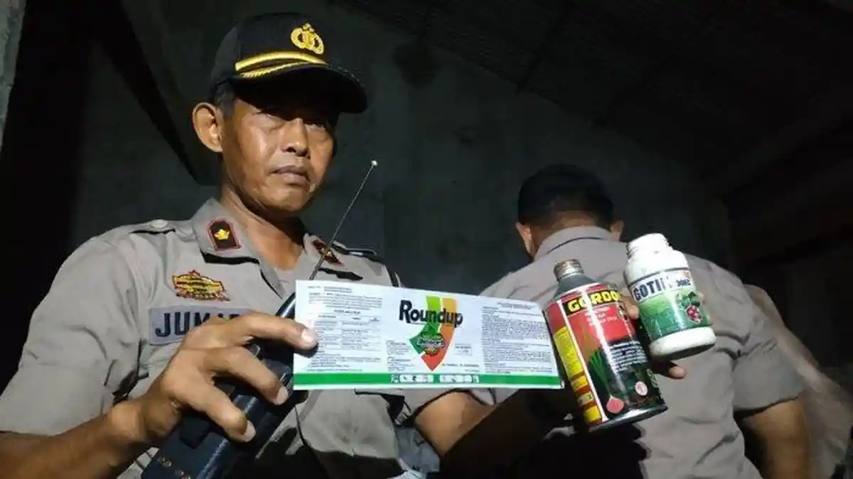 Gudang Rongsok Ternyata Jadi Tempat Penyimpanan dan Daur Ulang Botol Bekas Obat Pestisida