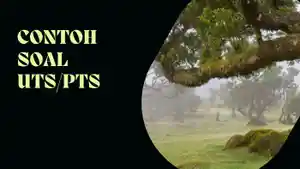 Contoh-soal-UTS-IPA-kelas-9-Semester-2.jpg