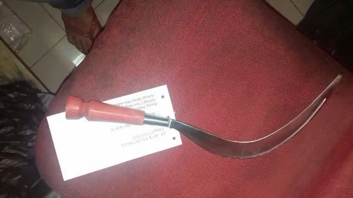 Kesal Gara-gara Ditegur, Pria di Ciracas Tega Bacok Tetangganya Sendiri