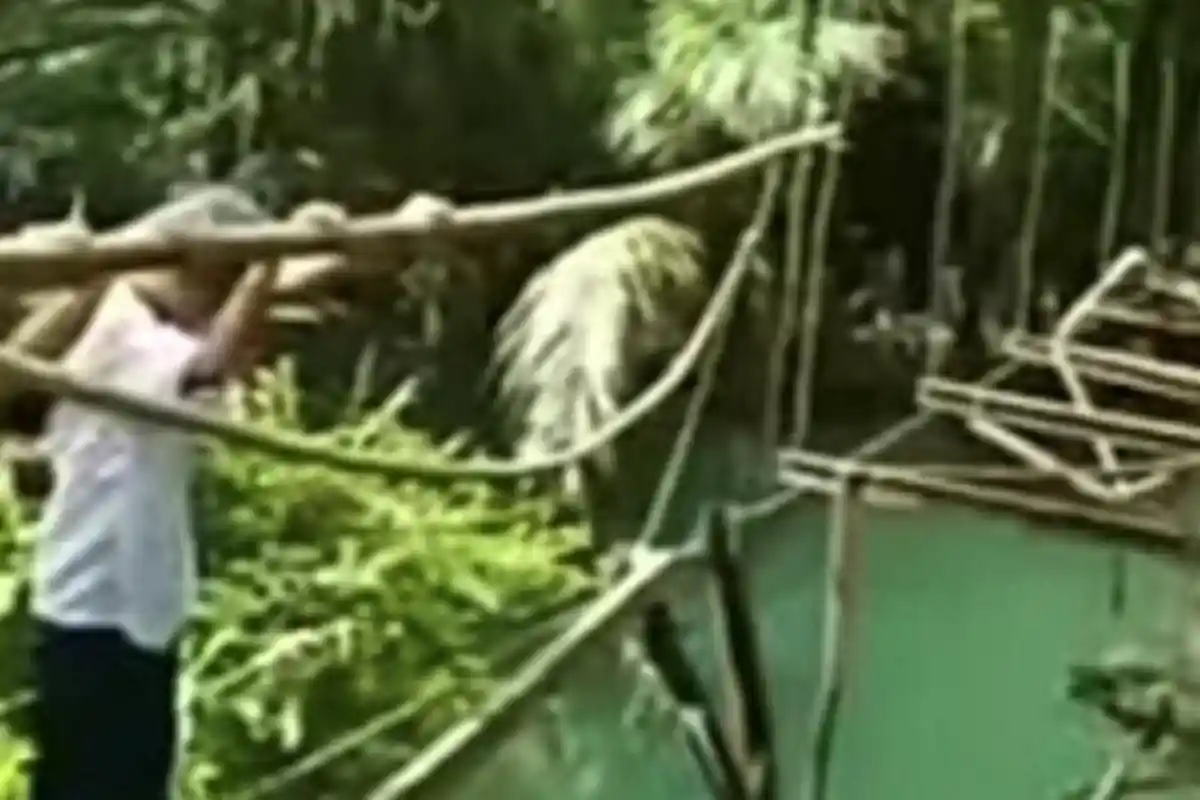 PUPR Tanggamus Tinjau Jembatan Rusak di Pematang Sawa, Penanganan Bertahap