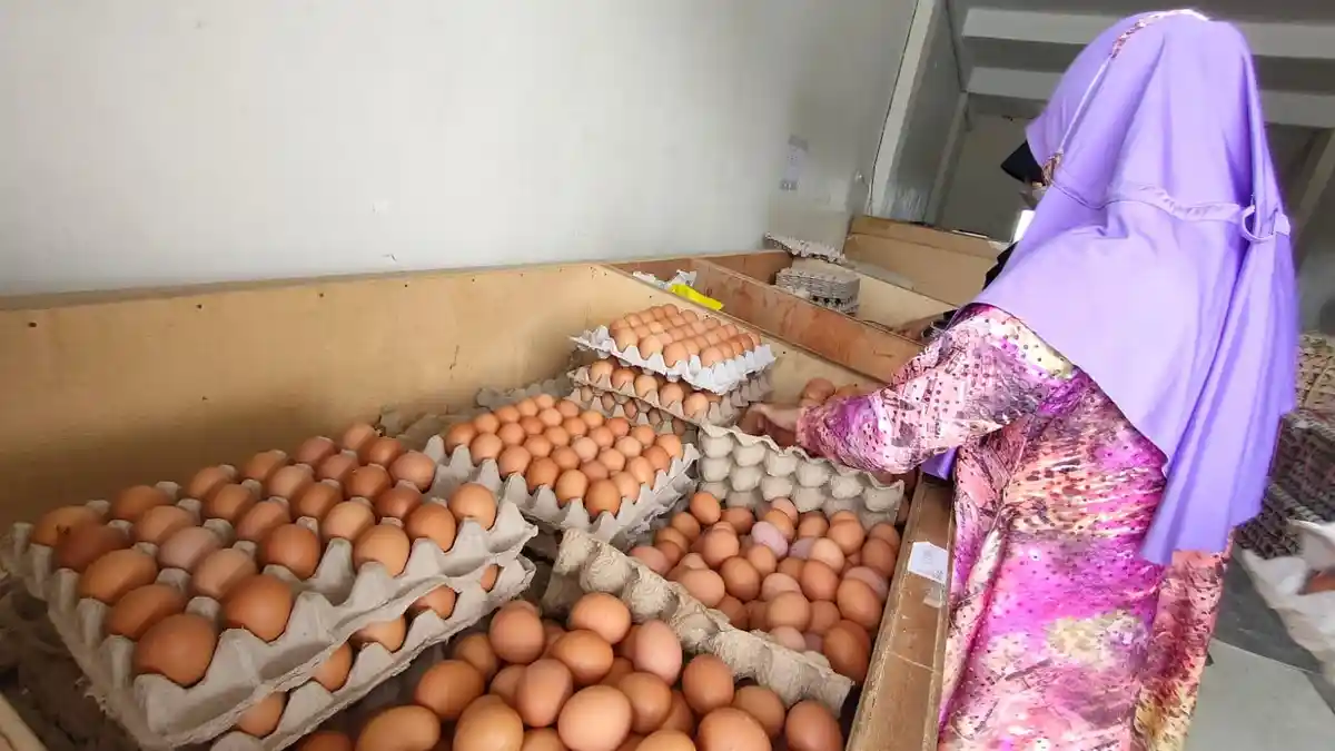 Harga Telur Hari Ini di Berbagai Daerah di Indonesia, Kaltim Rp 31.933