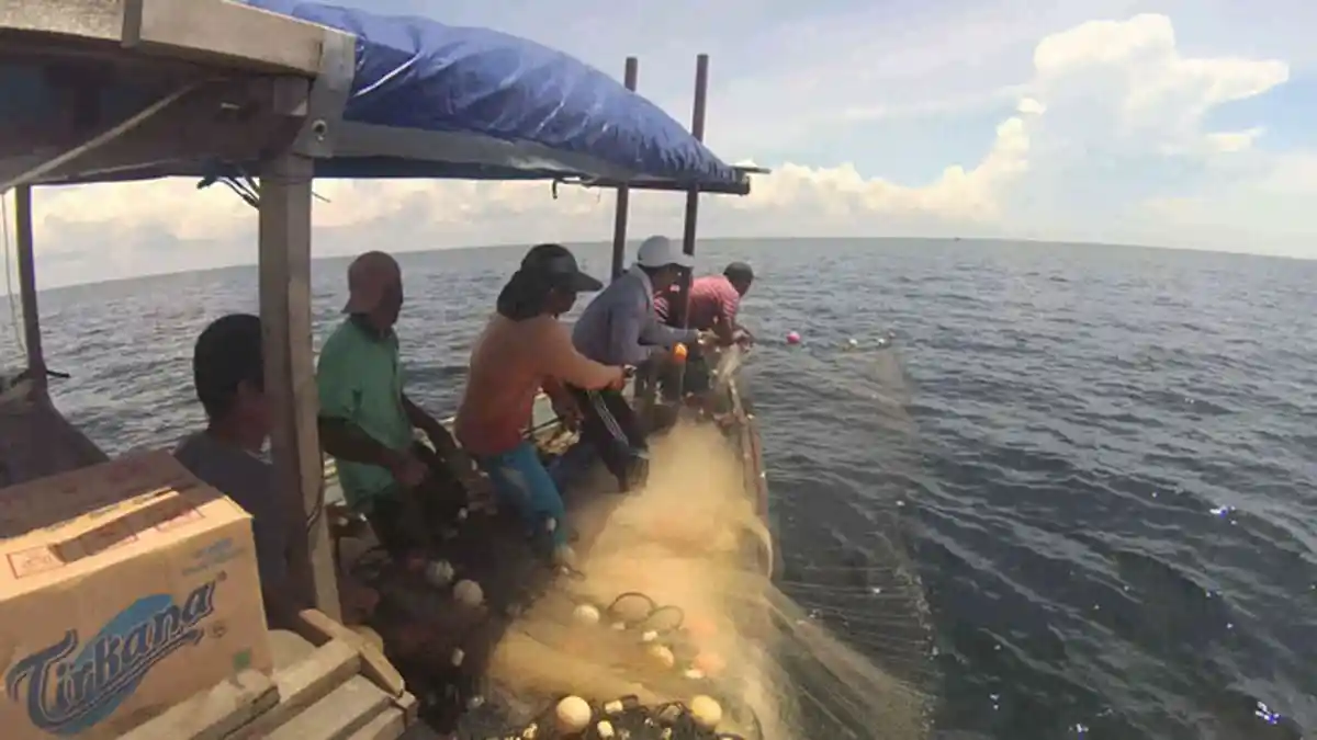 Himpunan Nelayan Singkawang Khawatir Masuk Wilayah Luar Saat Melaut
