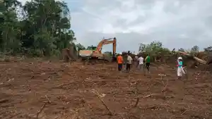 BUKALAHANHIBRIDA.jpg