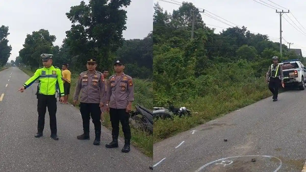 PILU Nasib Wahyuni Puspita Sari, PNS Tewas Usai Motornya Tabrak Kerbau, Pergi Naik Motor Mau Upacara