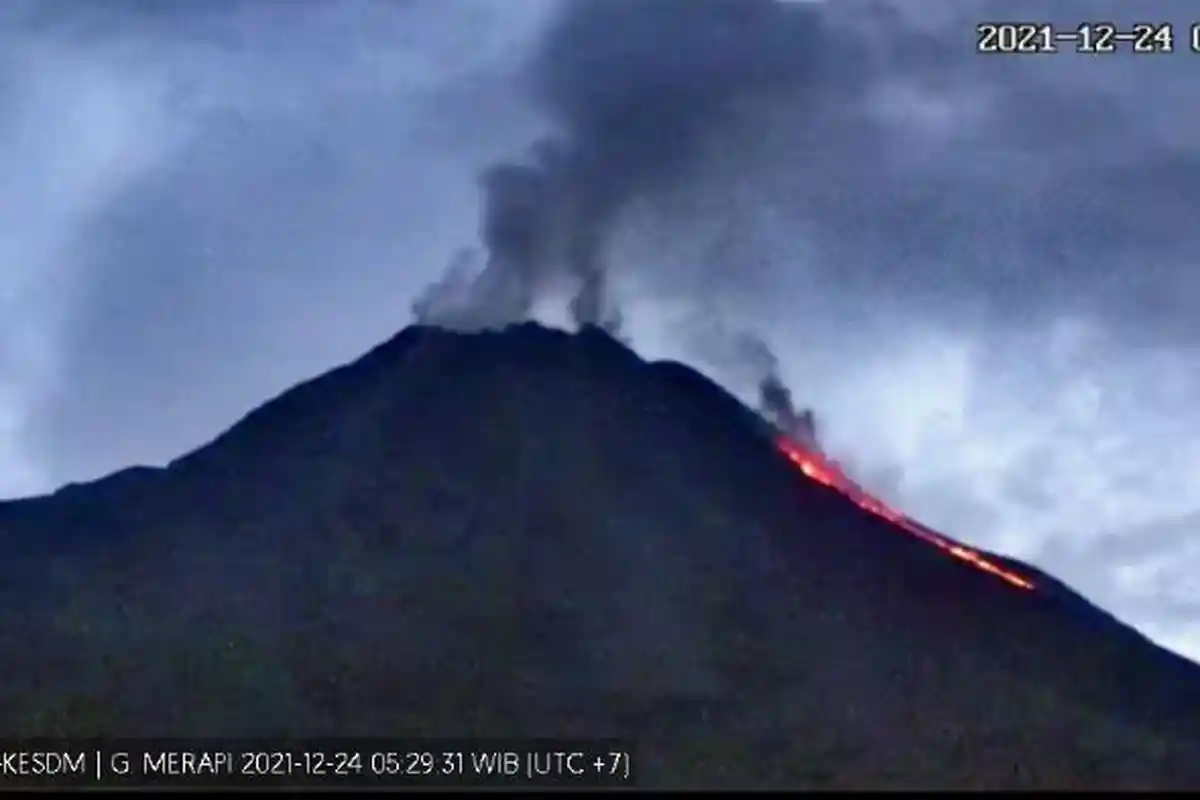 UPDATE 4 Gunung Api Indonesia Berstatus Level 3 Siaga: Gunung Merapi Alami 50 kali Gempa Guguran