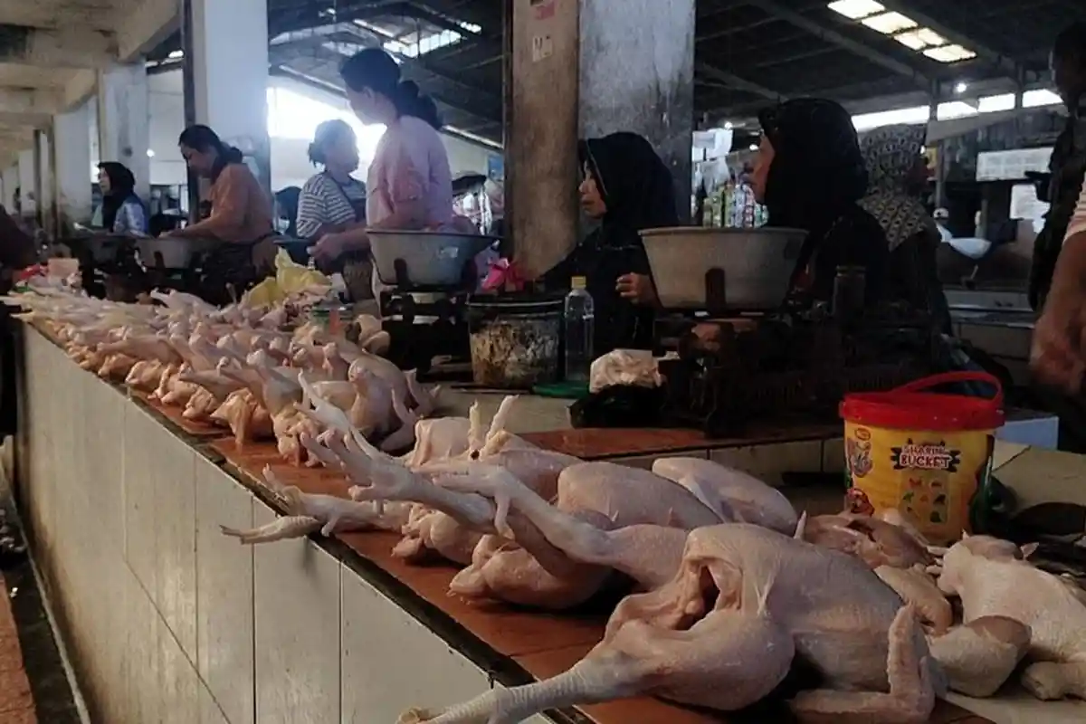 UPDATE Harga Daging Ayam di Pasar Bitingan Kudus Rp 34 Ribu