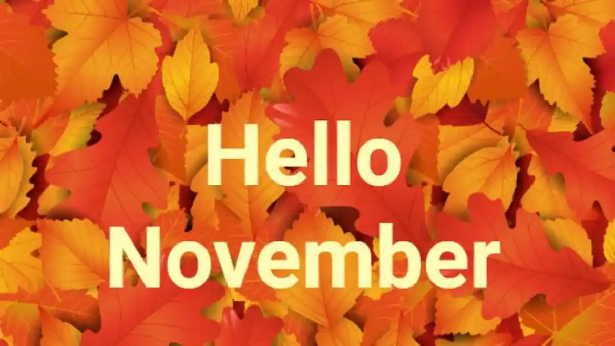 11 Karakteristik Orang yang Lahir Bulan November, Sulit Dimengerti dan Punya Cara Kerja Unik