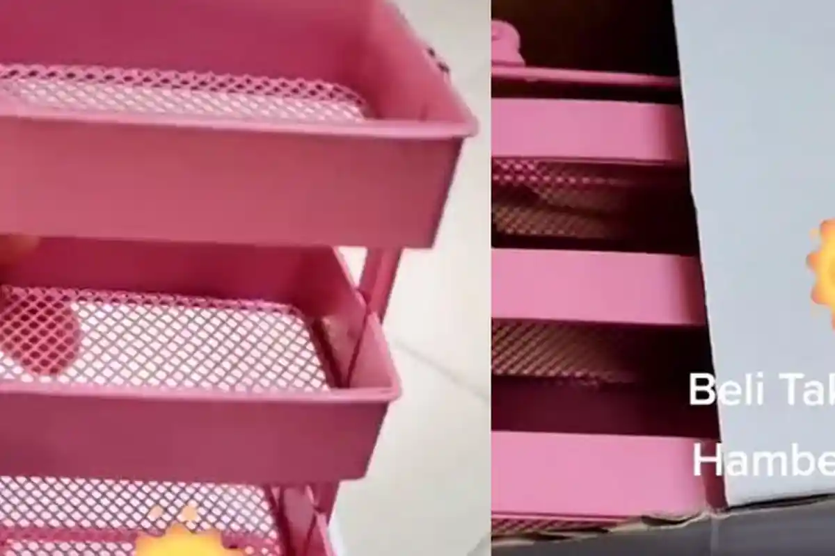 VIRAL Beli Keranjang Online Tanpa Teliti, Pas Barang Sampai Bikin Nyesek, Ternyata Keranjang Mainan