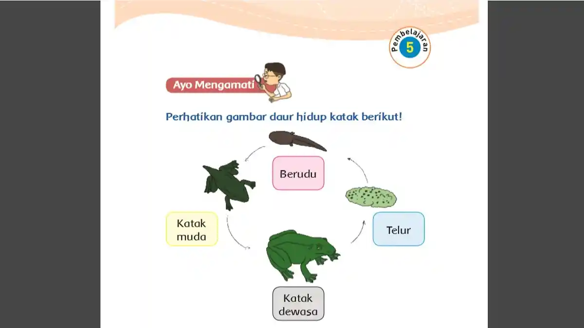 Kunci Jawaban Buku Tematik Tema 1 Kelas 3 SD Halaman 132 133 134 135, Subtema 3 Pembelajaran 5