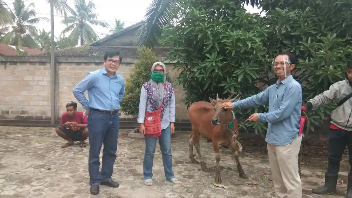 PT KPC Serahkan Seekor Sapi Kurban kepada Awak Media di Sangatta