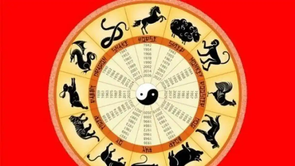 Ramalan Shio Bulan Juni 2020 : Terawangan Keberuntungan, Hoki dan Karier 30 Hari ke Depan
