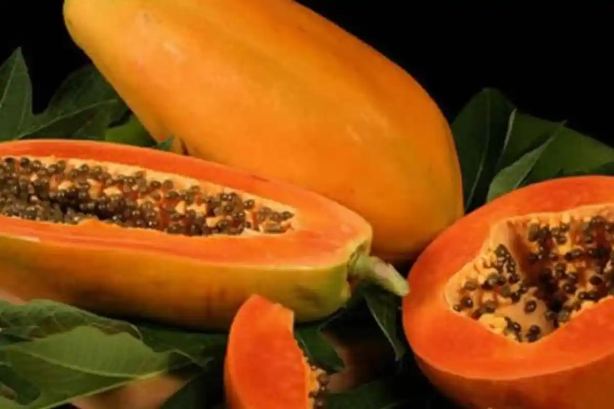 Ini 4 Makanan yang Bisa Membuat Perut Buncit Menjadi Rata, Jangan Khawatir