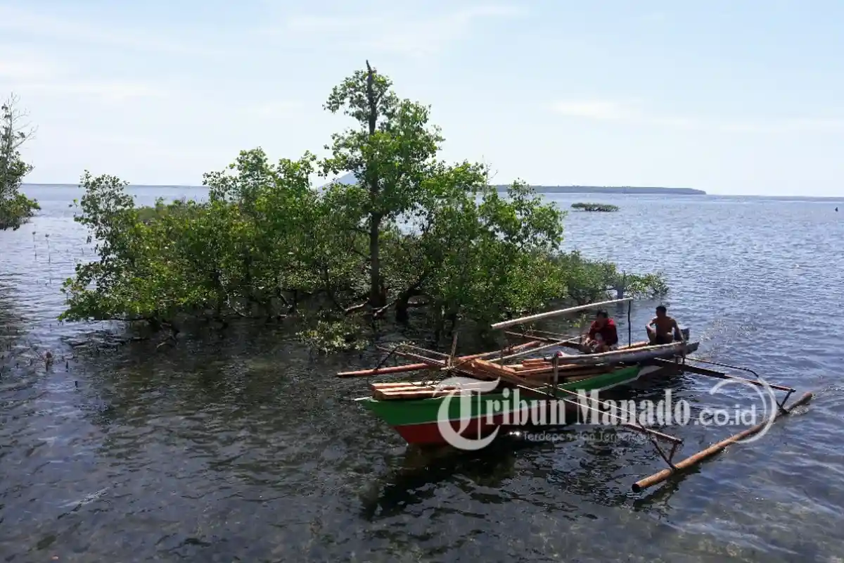 Jadi Objek Wisata, Pantai Rap-Rap Tongkaina Manado Sulawesi Utara Dihuni Tarsius