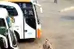 Arus Mudik di Terminal Lebak Bulus