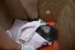 2 Lutung Jawa dan 4 Kukang Jawa Berhasil Diamankan