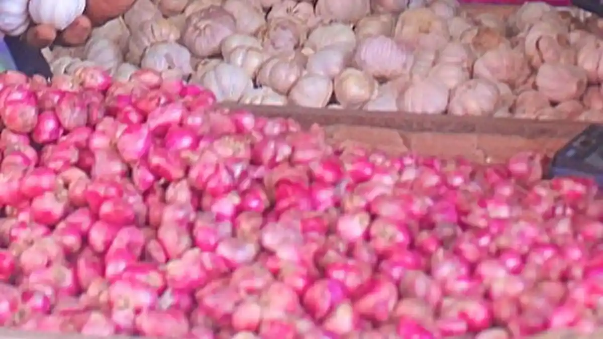 Harga Bahan Pokok di Pasar Tradisional Mamuju Tengah Belum Stabil