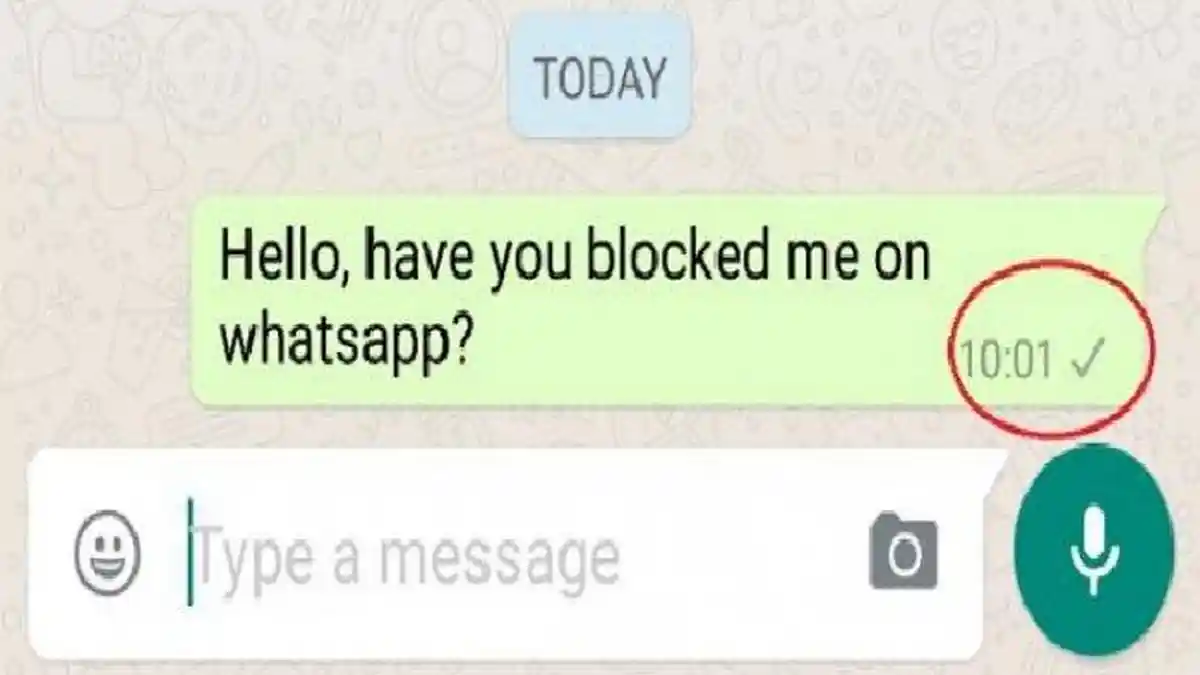 Kenali 5 Tanda Chat di WhatsApp, Simak Arti Centang Satu hingga Tanda Lingkaran Garis Putus-putus