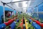 Melihat Kampung Sehat Utan Kayu