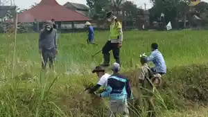 TANGKAP-TIKUS-Sejumlah-petani-di-Desa.jpg