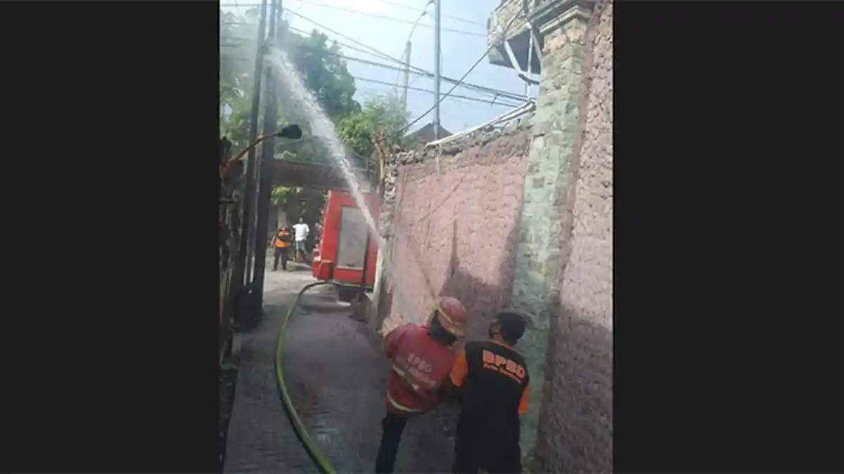 Kabel Listrik & Telepon di Sebuah Gang Permukiman di Sidakarya Denpasar Terbakar, Warga Sempat Panik