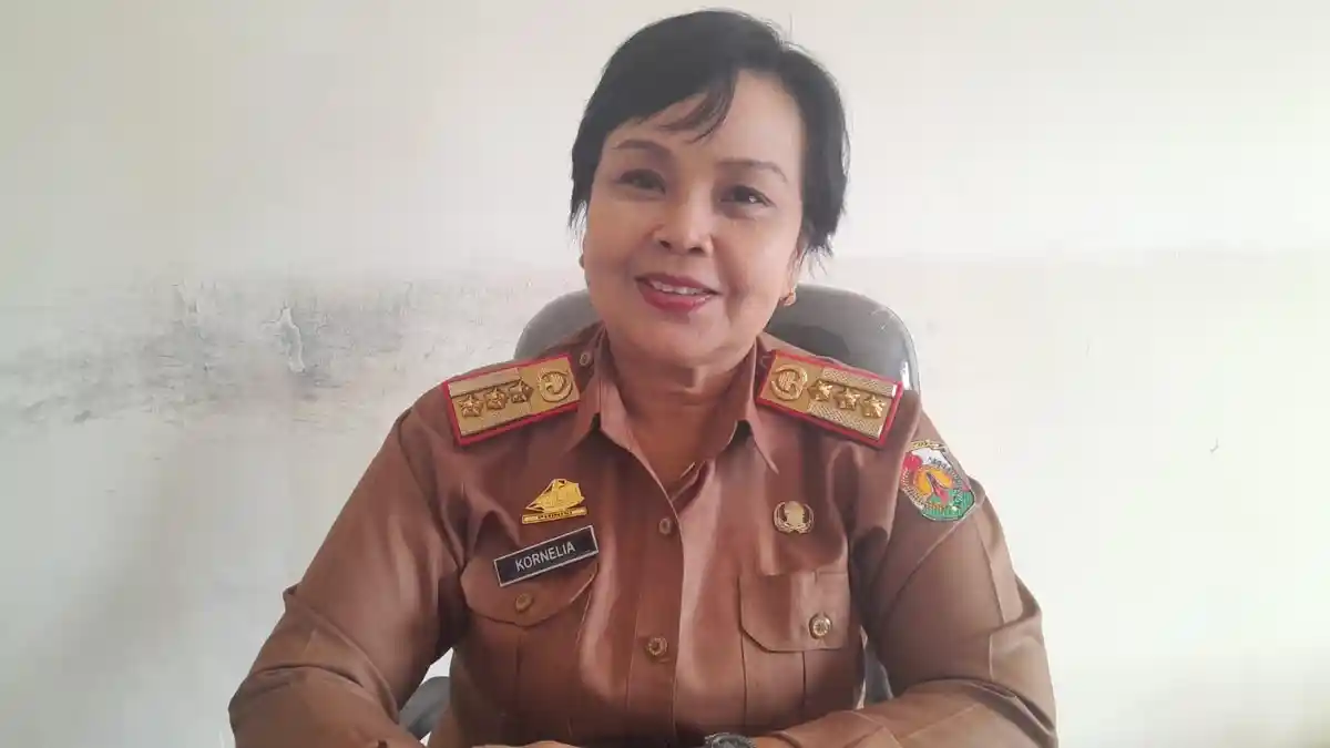 Pemkab Toraja Utara Buka 200 Formasi CPNS 2024, Ini Rinciannya