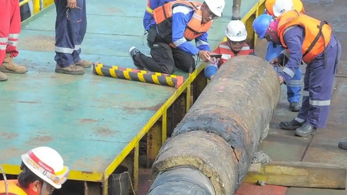 Pipa Pertamina Bocor, Laut dan Pantai di Karawang Penuh Minyak Mentah hingga Banyak Ikan Mati