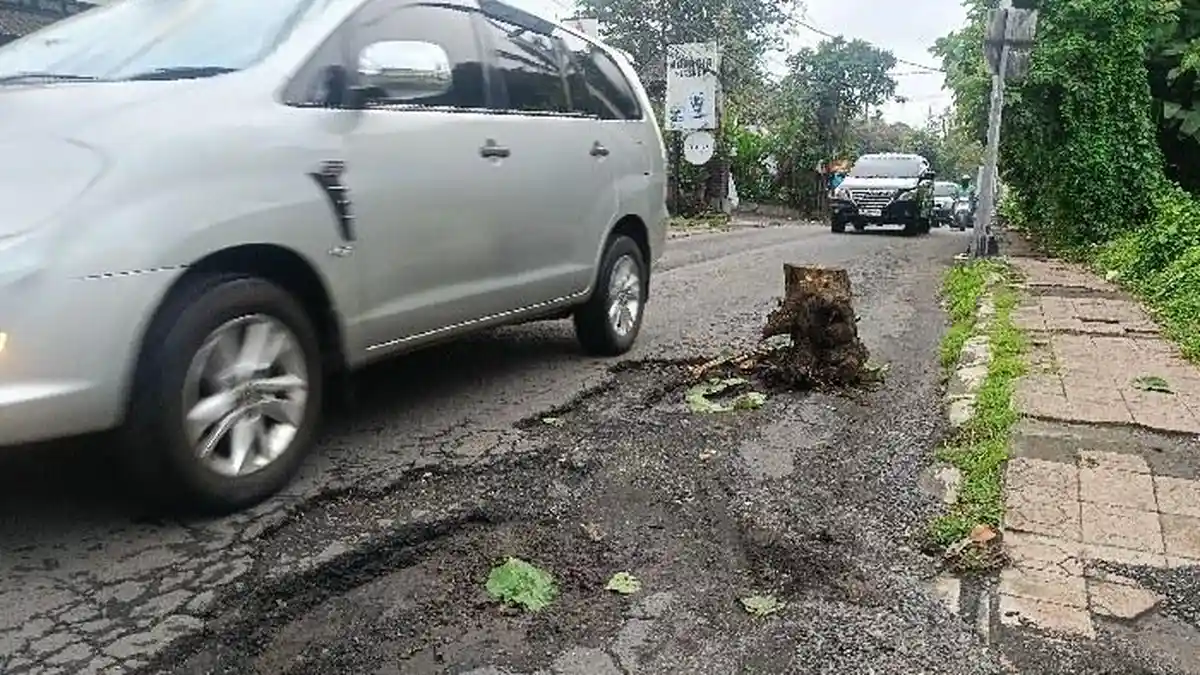 Jalur Maut Untuk Mobil Ceper di Ubud Bali, Dinas PU Gianyar Segera Perbaiki