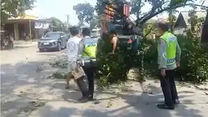 20260416-_-Evakuasi-Kontainer-Tabrak-Pohon-di-Jepara.jpg