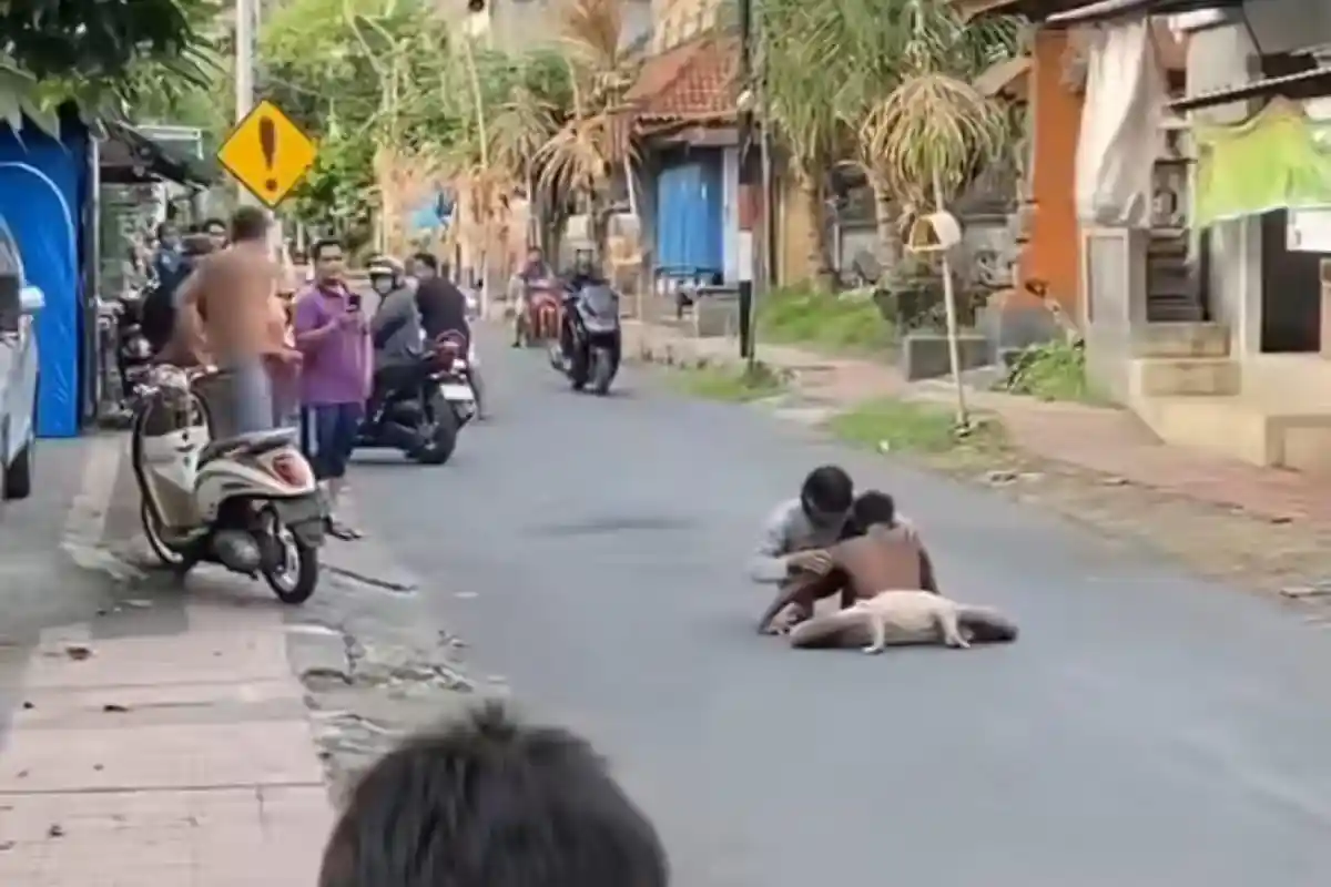 Viral Buruh Bangunan Diduga Kesurupan Setelah Potong Pohon di Klungkung Bali, Merangkak di Jalan