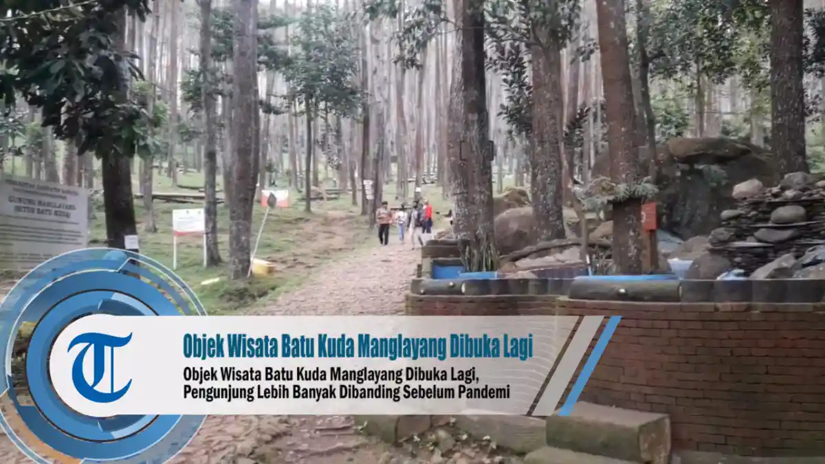 Kawasan Hutan Milik Perhutani di Sumedang Bakal Dijadikan Obyek Wisata