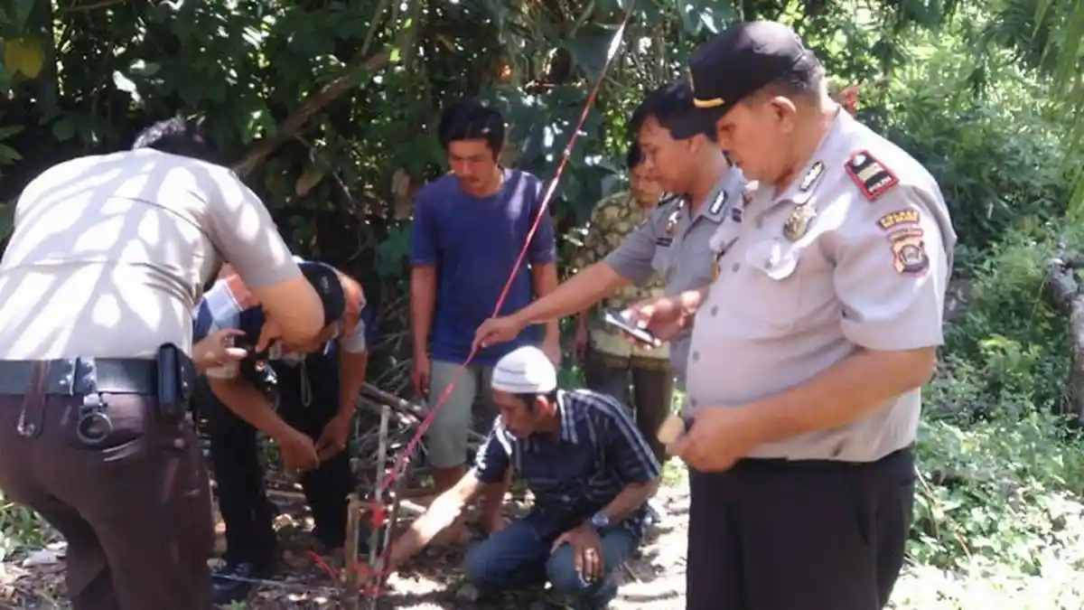 Cari Sapi, Dwi Tewas Tersengat Listrik di Kebun Jagung