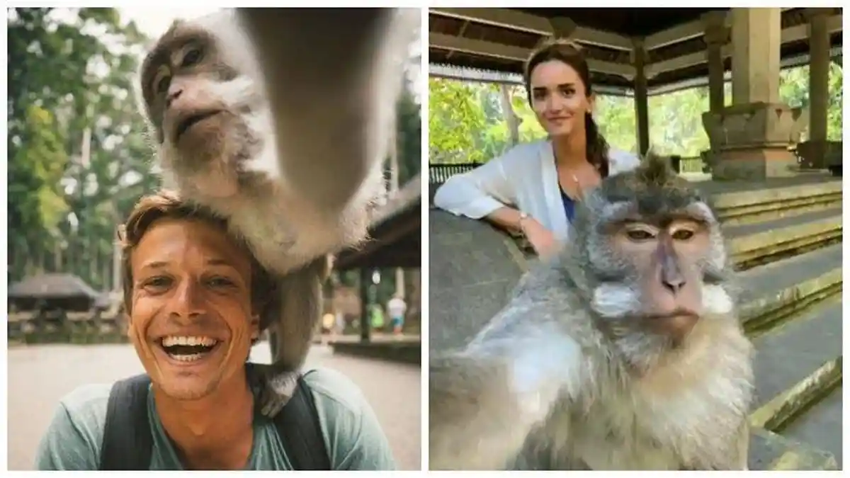 Ingin Coba Selfie dengan Monyet di Ubud, Berikut 4 Tempat Wisata di Kota Bali yang Sempat Viral