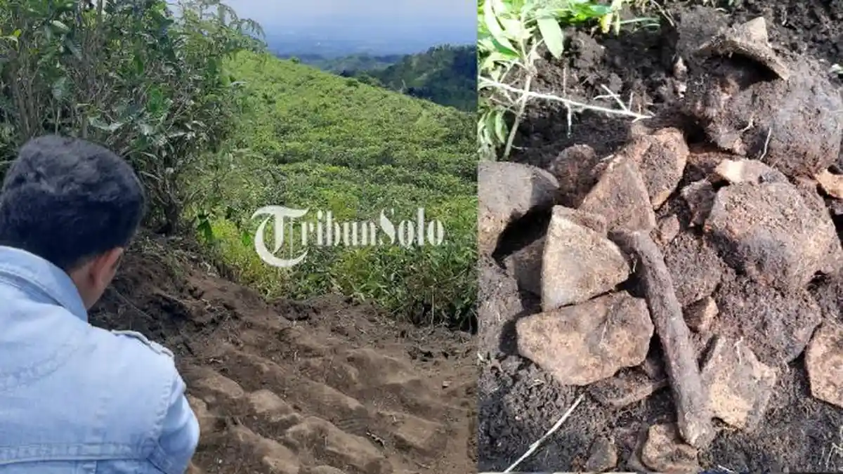 Gundukan Diduga Candi Ditemukan di Kebun Teh Jenawi Karanganyar, Hanya 1 Km dari Candi Cetho