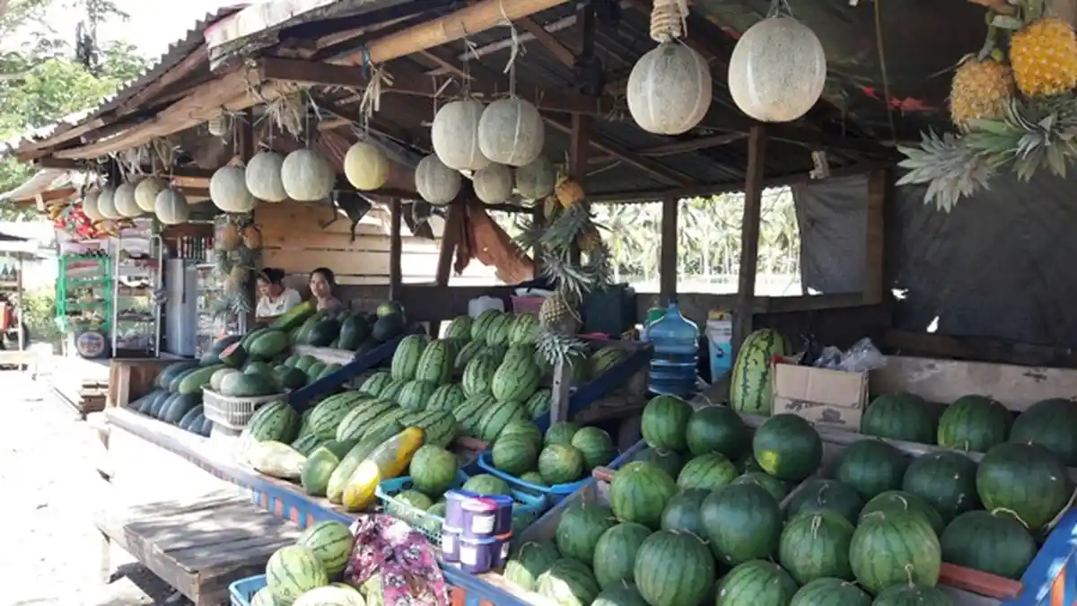 Permintaan Semangka Meningkat di Bulan Puasa, Jumadi Jual 30 Buah Sehari