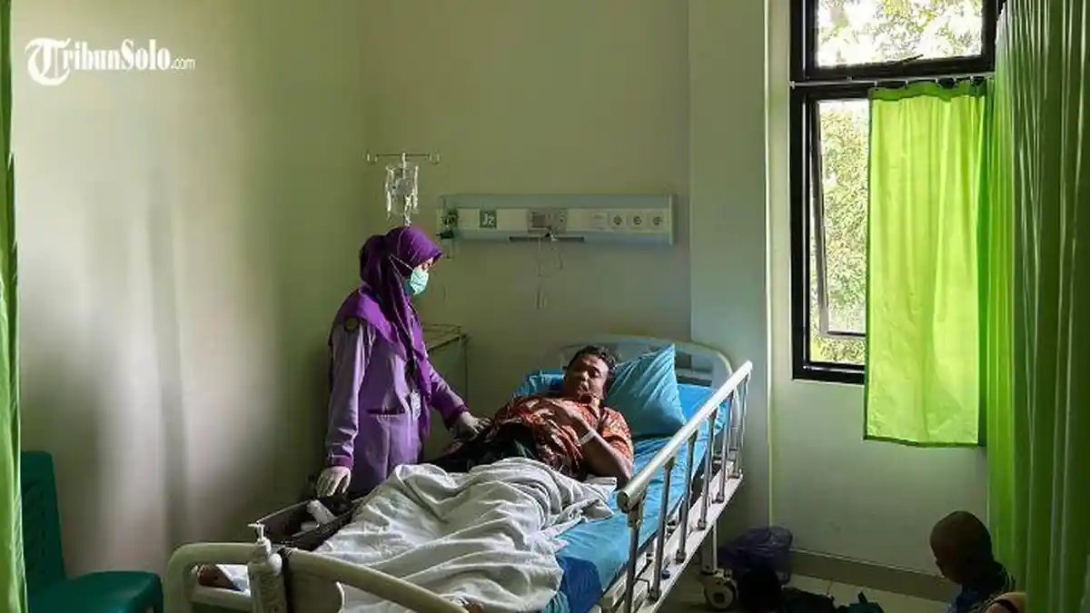 Waspada Tawon Vespa! Pria di Klaten Tersengat hingga Tekanan Darah dan Laju Napas di Atas Normal