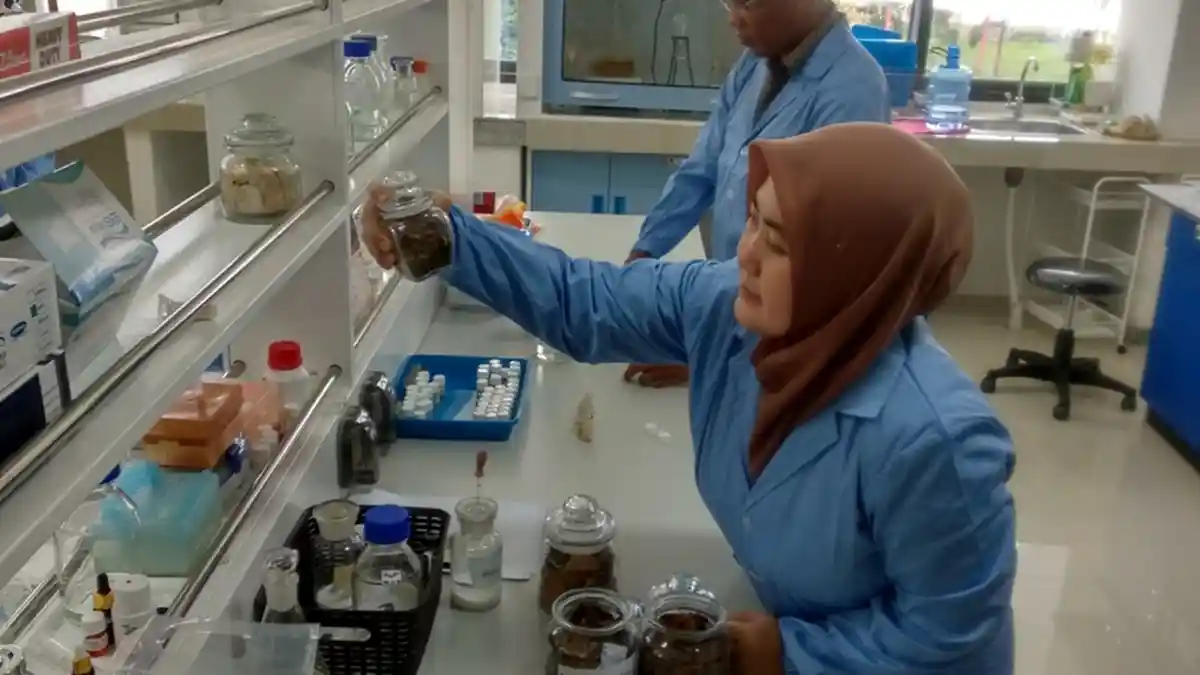 LIPI Perkenalkan Cara Pembuatan Obat Tradisional yang Baik di Puspiptek Tangsel