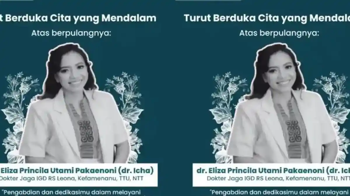 Keluarga Dokter Icha Laporkan Dugaan Intimidasi Anggota DPRD TTU, Polisi Selidiki Unsur Pidana - Tribunnews.com