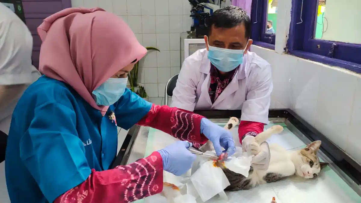 Aulia Periksakan Hewan Peliharaan, Pemkab HSS Luncurkan SIKAWAN JB