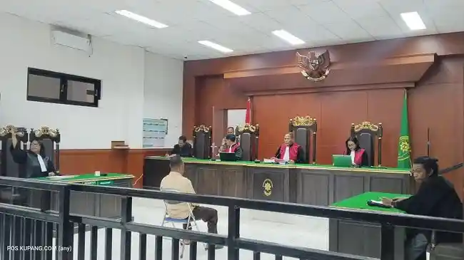 Tribun