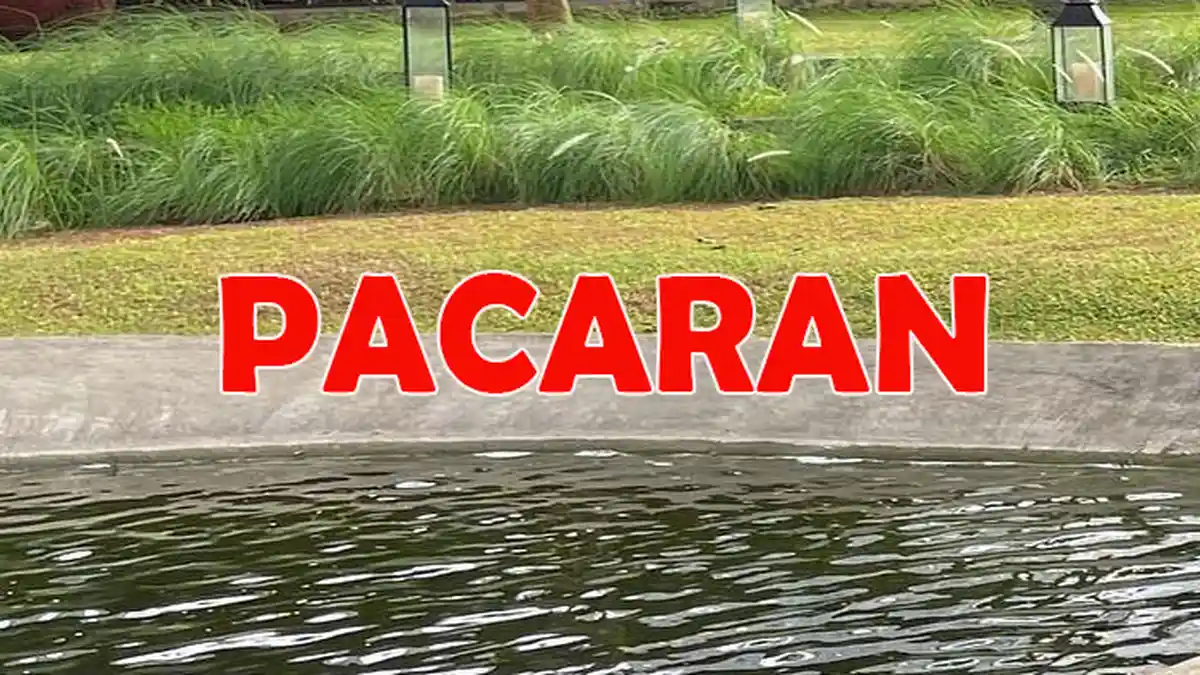 Pacaran Diam Diam Dalam Bahasa Gaul Apa Namanya? Cek Istilah dalam Pacaran