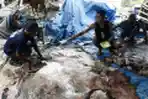Tempat Pengepulan Kulit Hewan Kurban