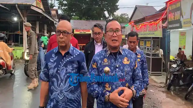Tribun