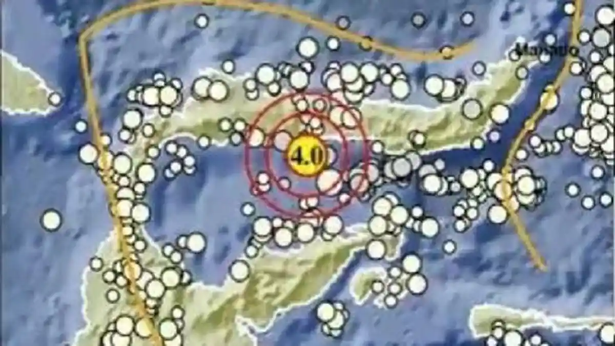 Gempa Hari Ini di Boalemo Gorontallo, BMKG: Bermagnitudo 4.0