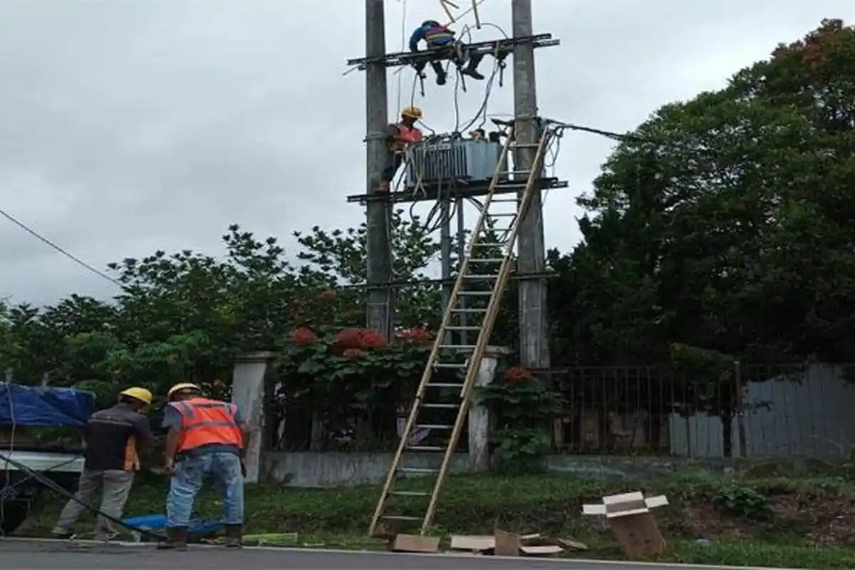 Dampak Cuaca Buruk, PLN Lakukan Upaya Perbaikan Untuk Meningkatkan Kehandalan Jaringan Listrik