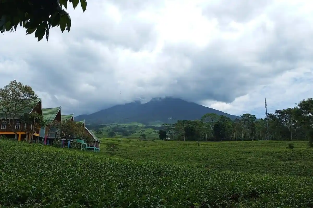 Kondisi 60 Pendaki yang Masih di Puncak Gunung Dempo Pagar Alam Ketika Terjadi Erupsi